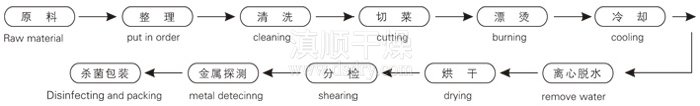 脫水蔬菜帶式幹燥工藝流程